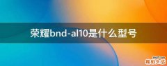 荣耀bnd-al10是什么型号