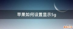 苹果如何设置显示5g