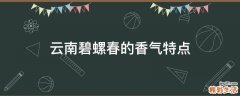 云南碧螺春的香气特点