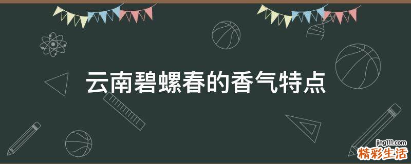 云南碧螺春的香气特点