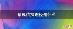 猪瘟传播途径是什么