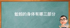 蚯蚓的身体有哪三部分