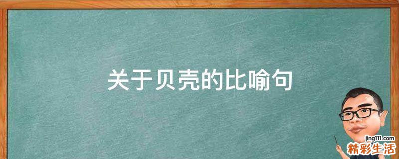 关于贝壳的比喻句