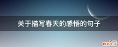 关于描写春天的感悟的句子