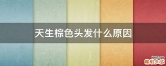 天生棕色头发什么原因
