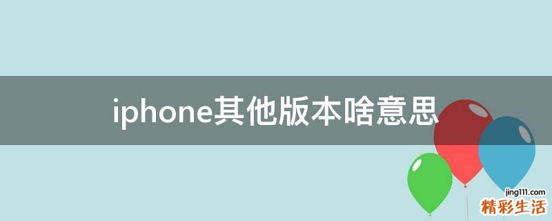 iphone其他版本啥意思