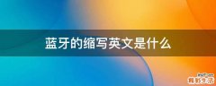 蓝牙的缩写英文是什么
