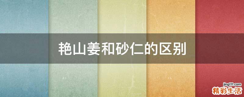 艳山姜和砂仁的区别