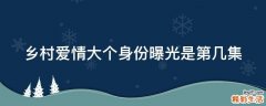 乡村爱情大个身份曝光是第几集