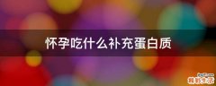 怀孕吃什么补充蛋白质