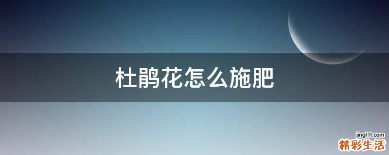 杜鹃花怎么施肥