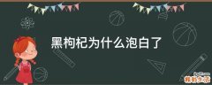 黑枸杞为什么泡白了
