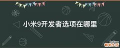 小米9开发者选项在哪里