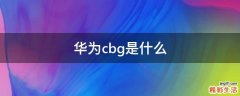 华为cbg是什么