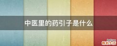 中医里的药引子是什么