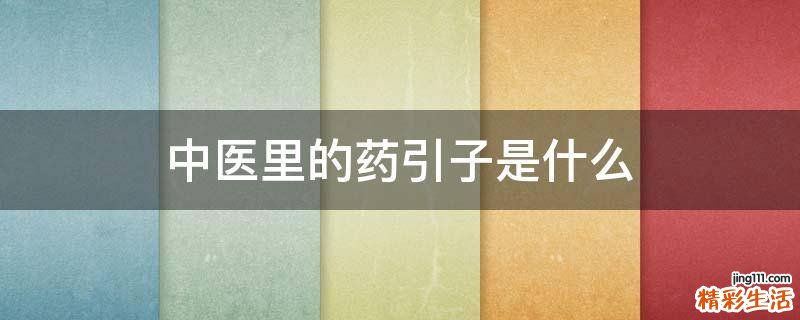 中医里的药引子是什么