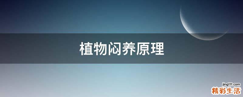 植物闷养原理
