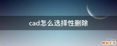 cad怎么选择性删除