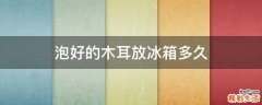 泡好的木耳放冰箱多久
