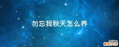 勿忘我秋天怎么养
