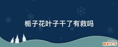 栀子花叶子干了有救吗
