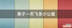 燕子一天飞多少公里