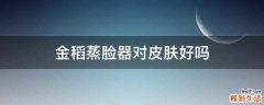 金稻蒸脸器对皮肤好吗