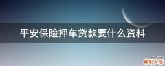 平安保险押车贷款要什么资料