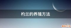 杓兰的养殖方法