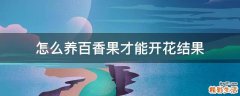 怎么养百香果才能开花结果