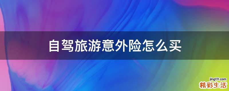 自驾旅游意外险怎么买