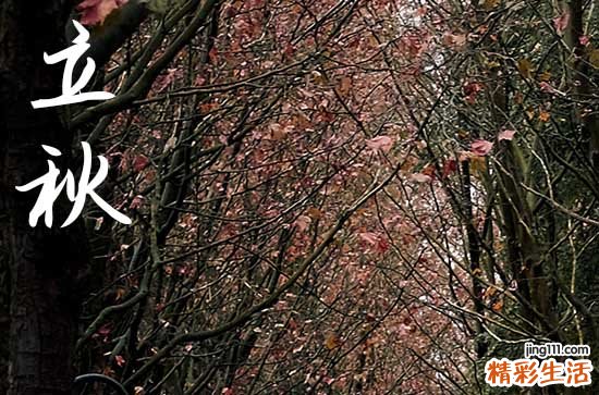 130句 天气渐凉朋友圈唯美句子 冷天气发朋友圈的句子
