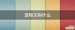 淀粉又叫什么