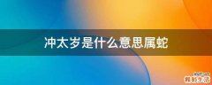 冲太岁是什么意思属蛇