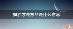 微胖才是极品是什么意思