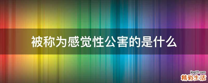 被称为感觉性公害的是什么
