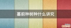 墓前种树种什么讲究