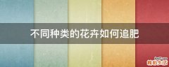 不同种类的花卉如何追肥