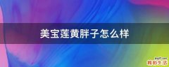 美宝莲黄胖子怎么样