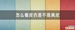 怎么看皮衣是不是真皮