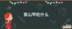 穿山甲吃什么