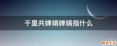 千里共婵娟婵娟指什么