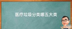 医疗垃圾分类哪五大类