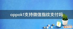oppok1支持微信指纹支付吗