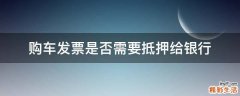 购车发票是否需要抵押给银行