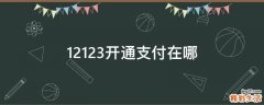 12123开通支付在哪