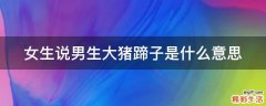 女生说男生大猪蹄子是什么意思