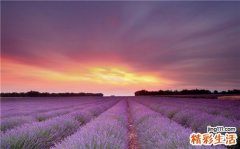 内分泌严重失调的表现