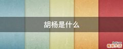 胡杨是什么