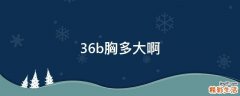 36b胸多大啊